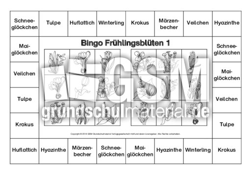 Bingo-Frühlingsblüten-1-SW.pdf